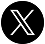 x icon